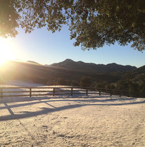 Meet your Posher, Skye